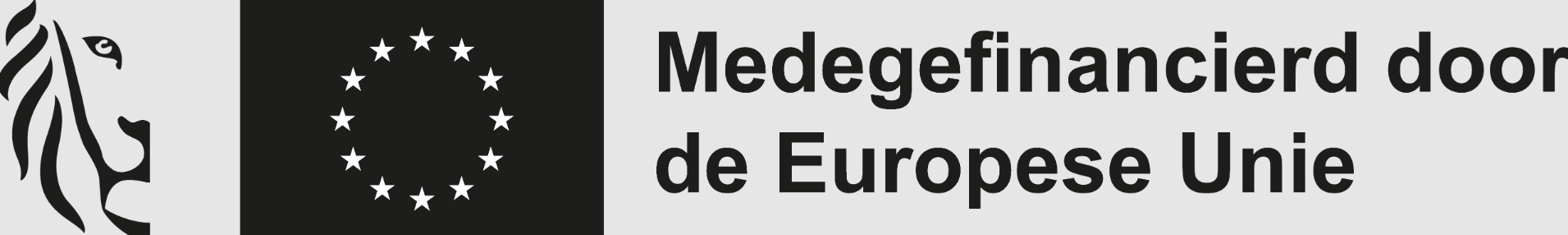logo europa wse