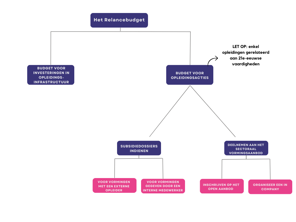 schema-mogelijkheden-relancebudget