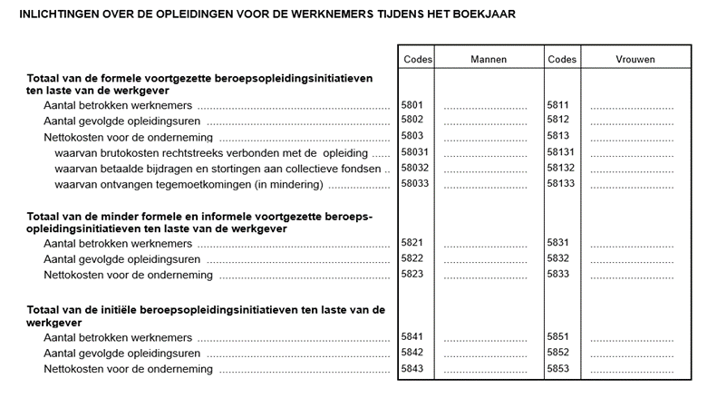 voorbeeld-sociale-balans